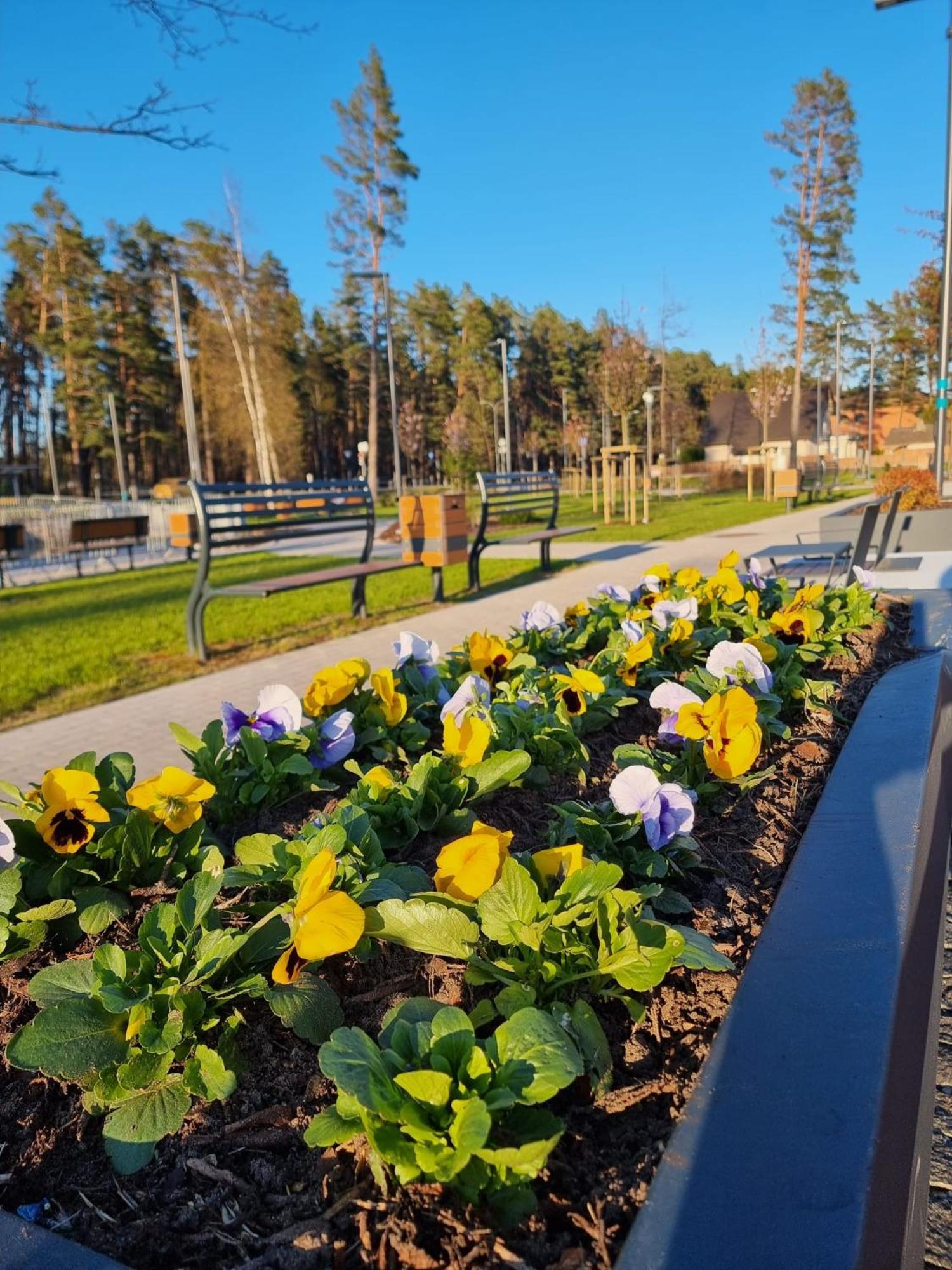 Flip-Flops Apartment Jurmala With Free Parking Exteriér fotografie